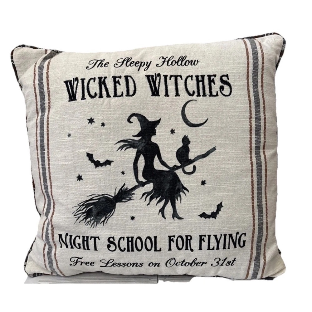 Wicked Witches Night School For Flying Pillow 18”x 18” Halloween Broom